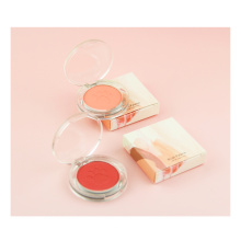 10 colors cat paw blush pink and cute blush waterproof matte pearl easy to use new face makeup